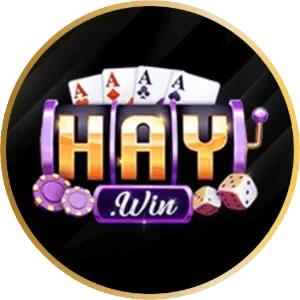 haywin-logo